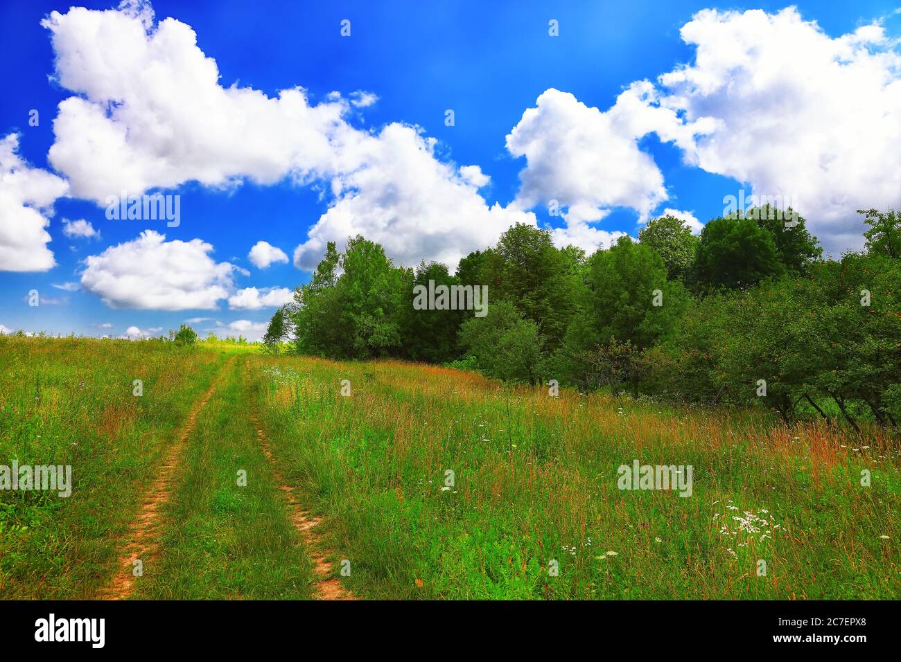 Summer landscape with green grass, road and clouds. Dramatic blue sky ...