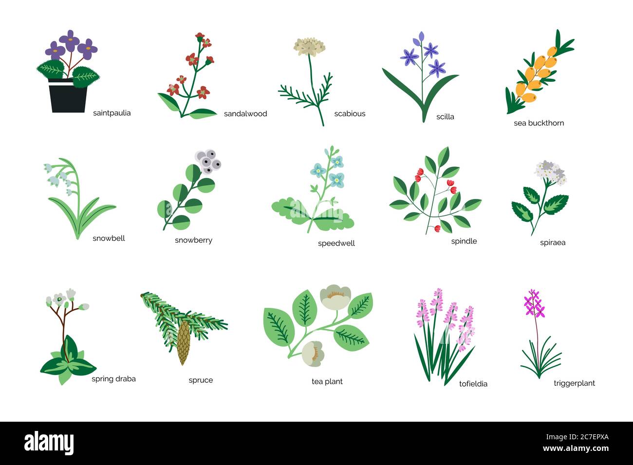 Isolated plants simple icons collection Stock Vector