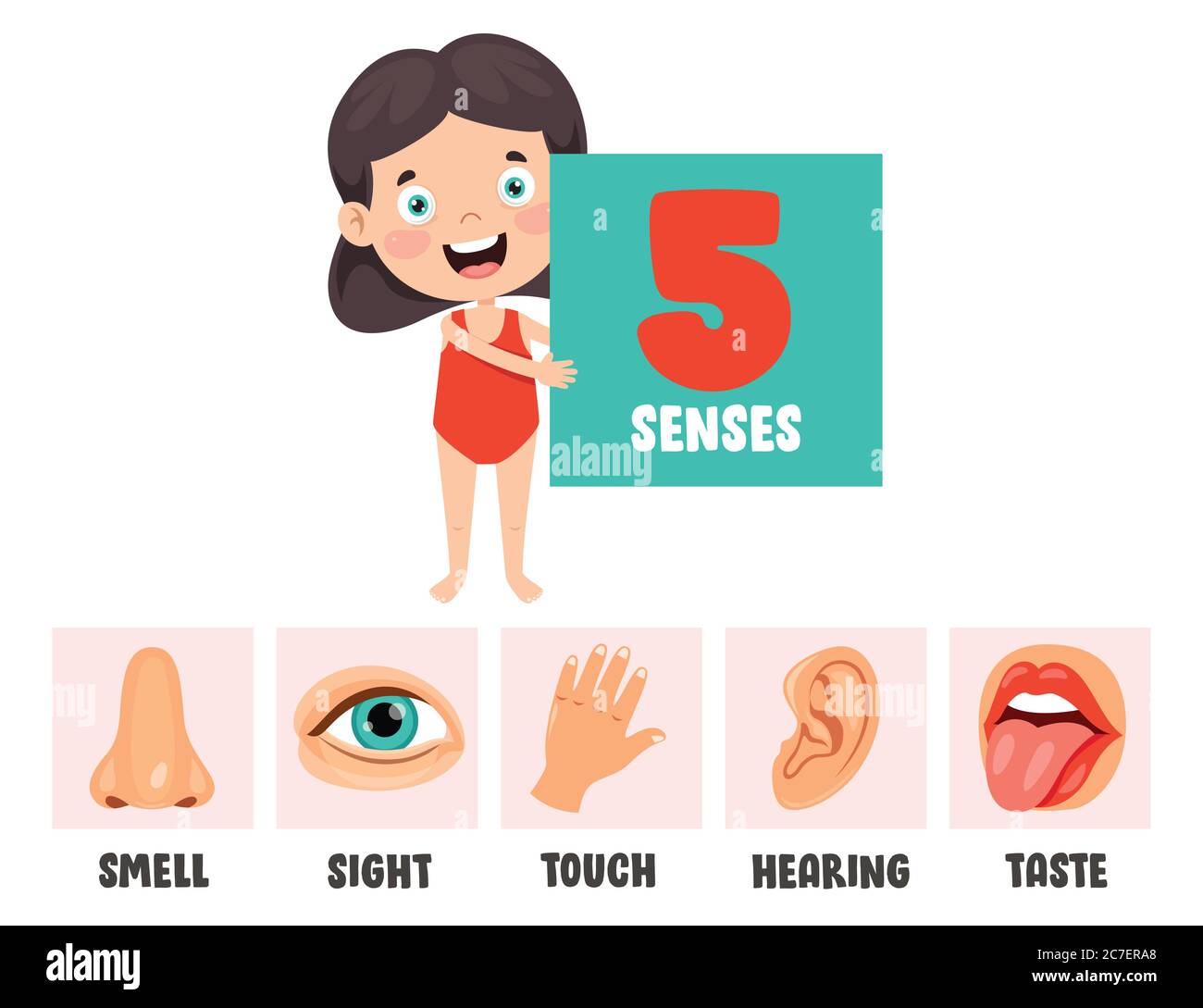 Five Senses Concept With Human Organs Stock Vector
