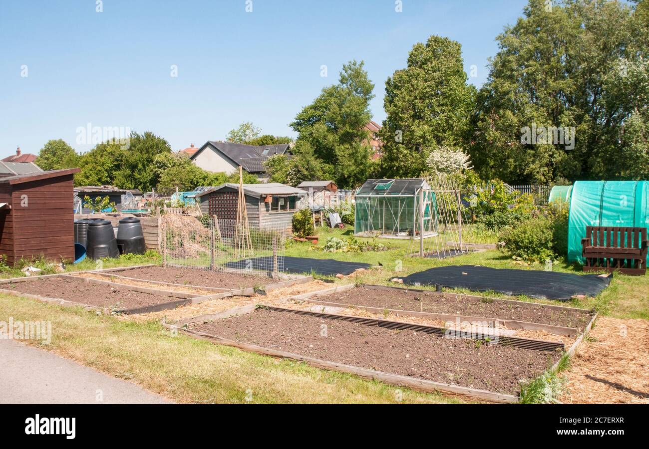 Allotment plots dug over and prepared for spring planting  Two beds covered with weed suppressent Stock Photo