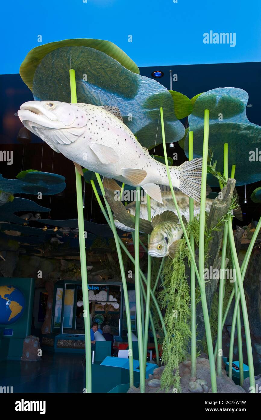 County diamond hires stock photography and images Alamy