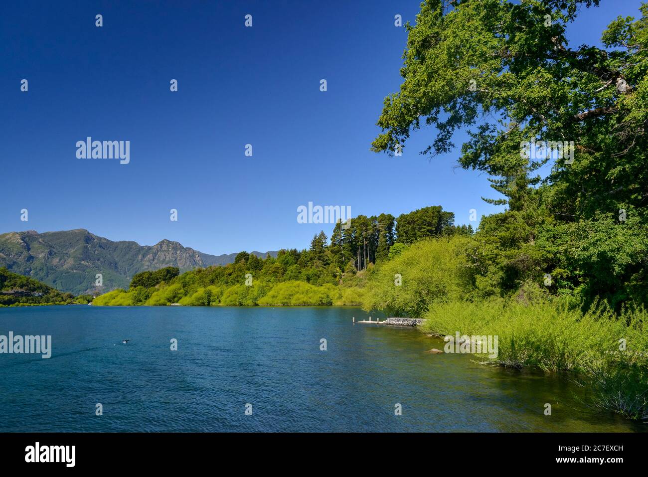 Lake Villarrica Pucon Araucania Chile Stock Photo Alamy