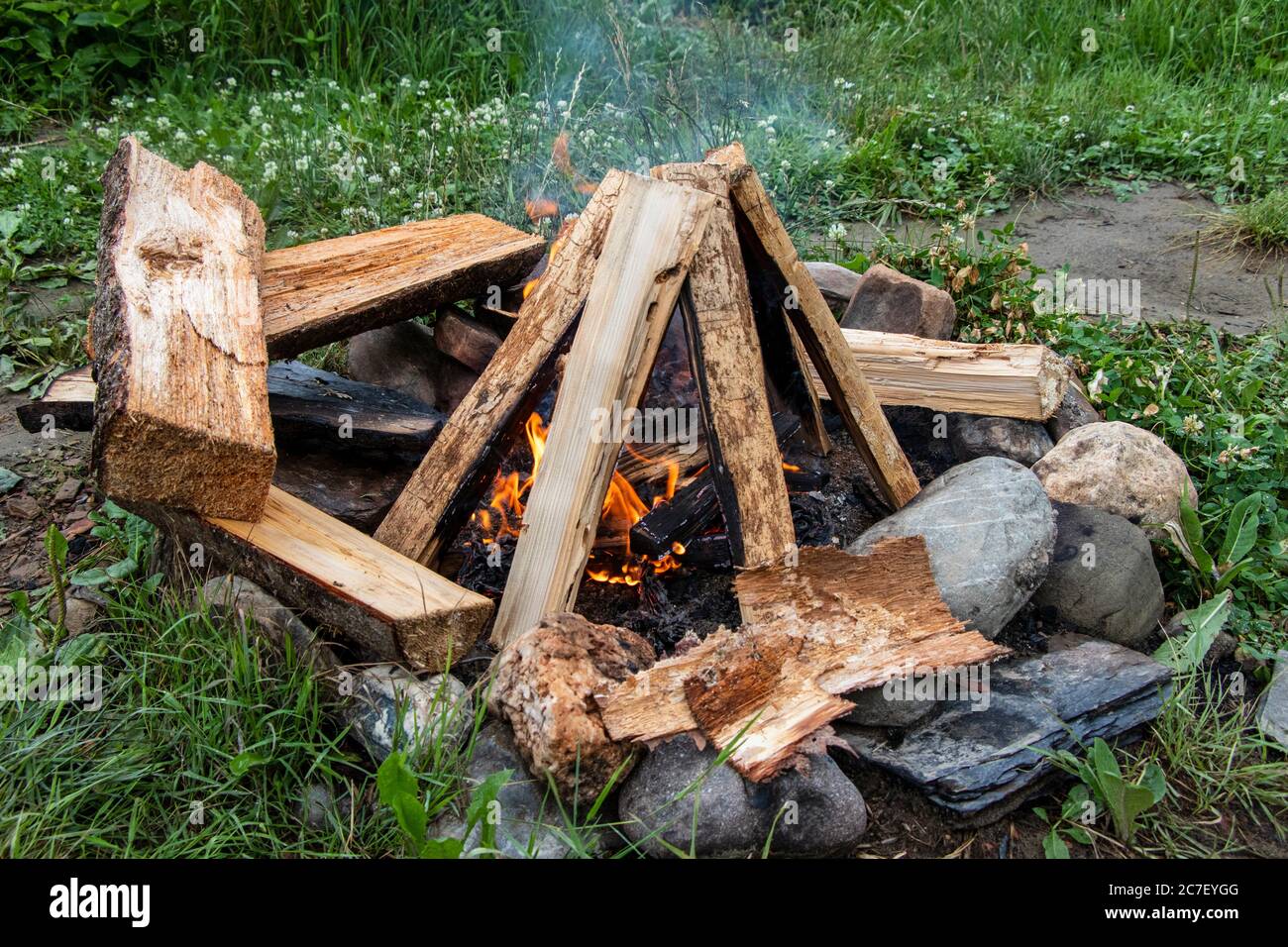 Drying wet wood logs around a campfire after rain shower Stock Photo