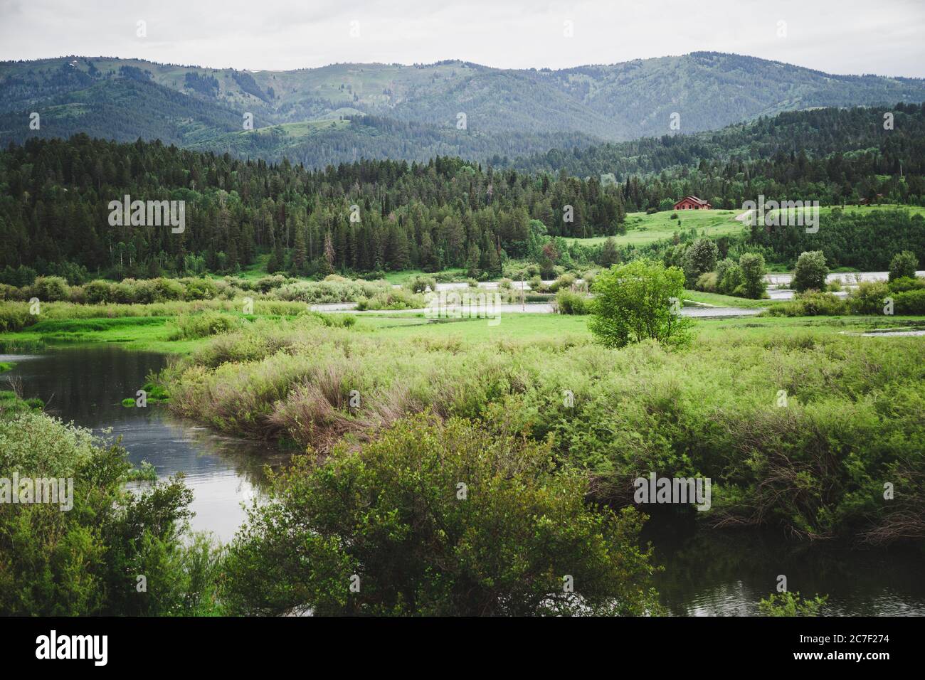 Peaceful, lush Alpine Wildlife Wetland area, located just south of