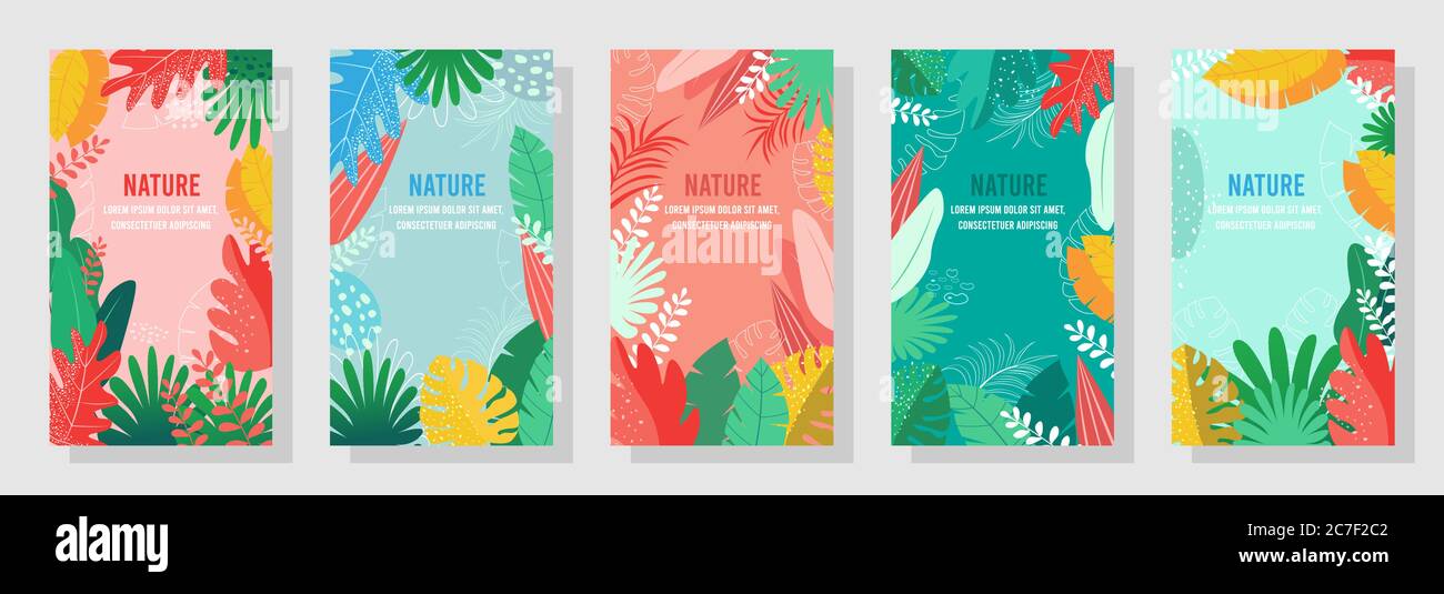 5set Floral Background Nature Background Four Seasons Template Banner Cover Templates Postcard Stock Vector Image Art Alamy