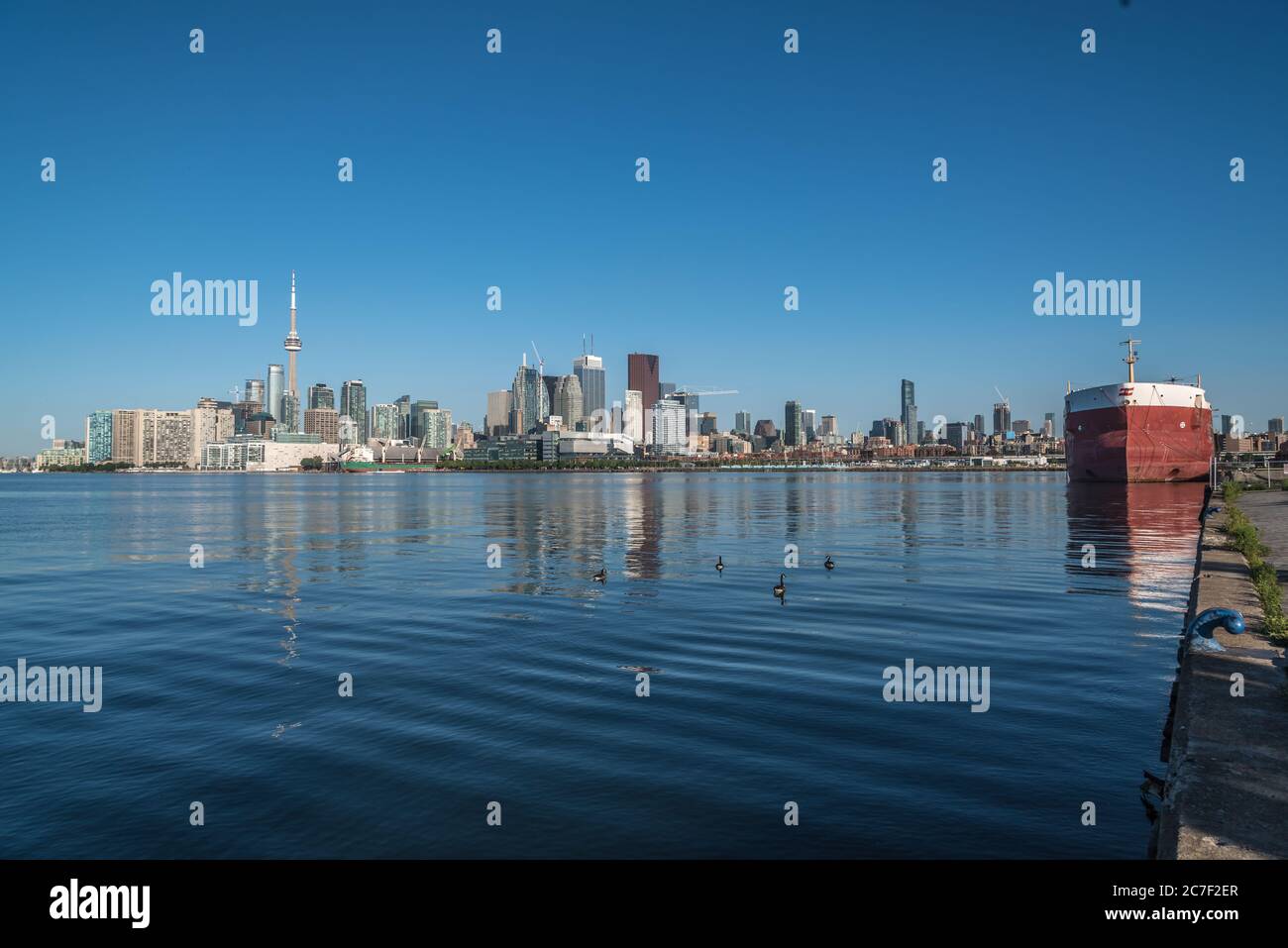 Toronto skyline from Ontario lake in sunny morning Stock Photo - Alamy