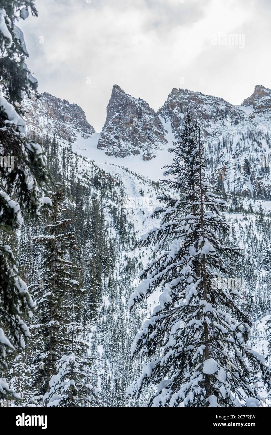 Lake Louise in Banff Park in winter time, Alberta, Canada Stock Photo ...