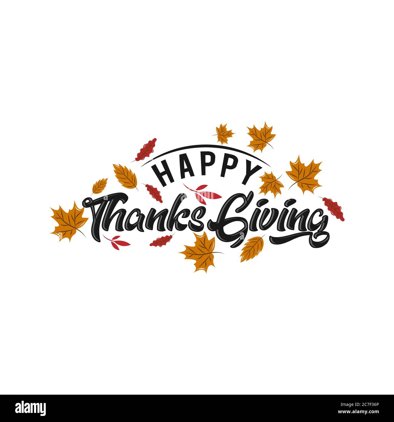 Happy Thanksgiving Calligraphy Text with Illustrated Green Leaves Over White Background, Vector Typography.EPS 10 Stock Vector