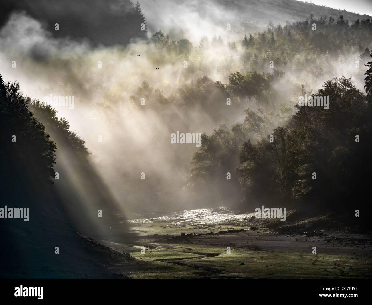 Beautiful shot of forested mountains with the sun shining through the fog Stock Photo