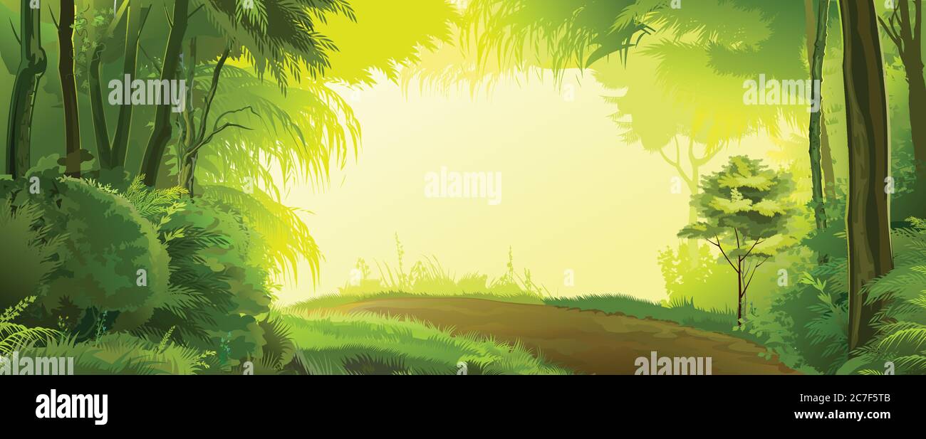 Road in the forest landscape. Vector. Beautiful view, green deciduous trees, shrubs, thickets. Spring, summer day. Background image. Stock Vector
