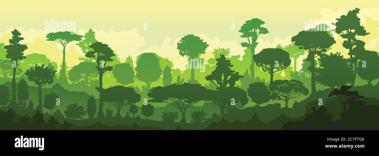 Forest jungle vector. Silhouette. Landscape, view of the tropical
