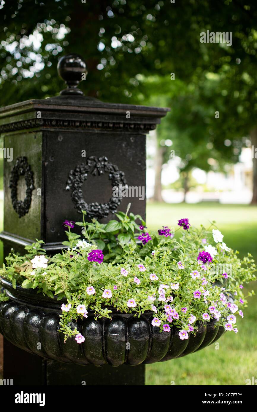 https://c8.alamy.com/comp/2C7F7PY/an-old-horse-trough-filled-with-flowers-on-a-summer-day-in-the-center-of-the-town-of-westford-massachusetts-usa-2C7F7PY.jpg