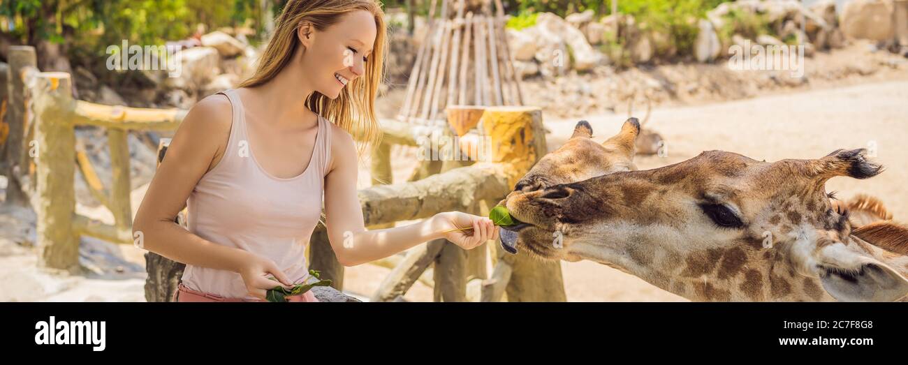 Banner Zoo High Resolution Stock Photography And Images Alamy
