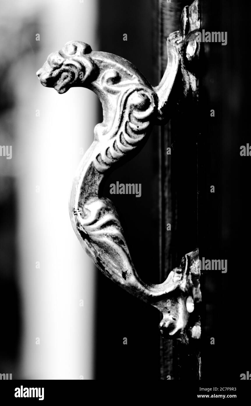 Vertical greyscale shot of a metal door handle with a lion carving Stock Photo