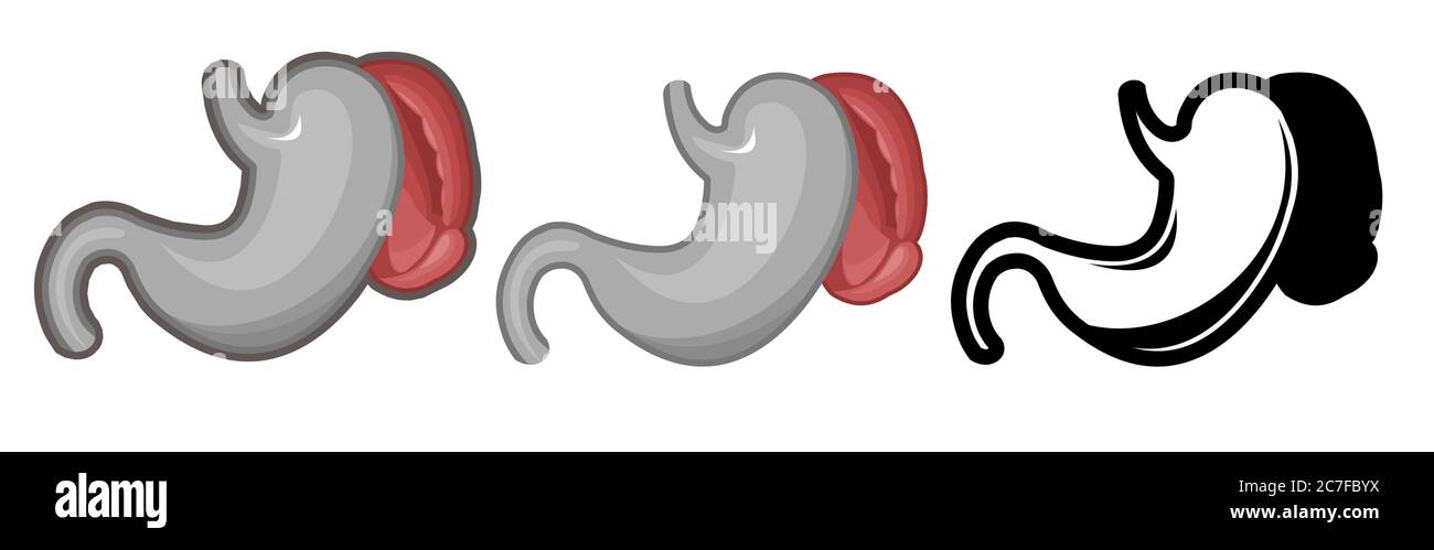 Healthy human pancreas. Whole. Set. Color image and monochrome icon. A series of illustrations on the internal organs. Isolated vector object Stock Vector