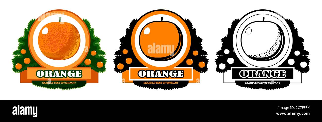 Orange logo vector isolate. Symbol for the production of citrus products: oranges, tangerines, grapefruits, citruses. Company name tape. Three options Stock Vector