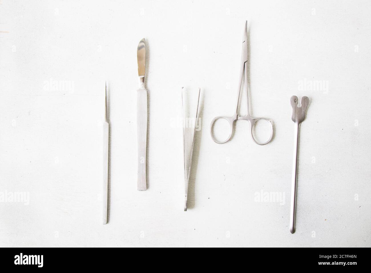 Dissection Kit - Premium Quality Stainless Steel Tools for Medical ...