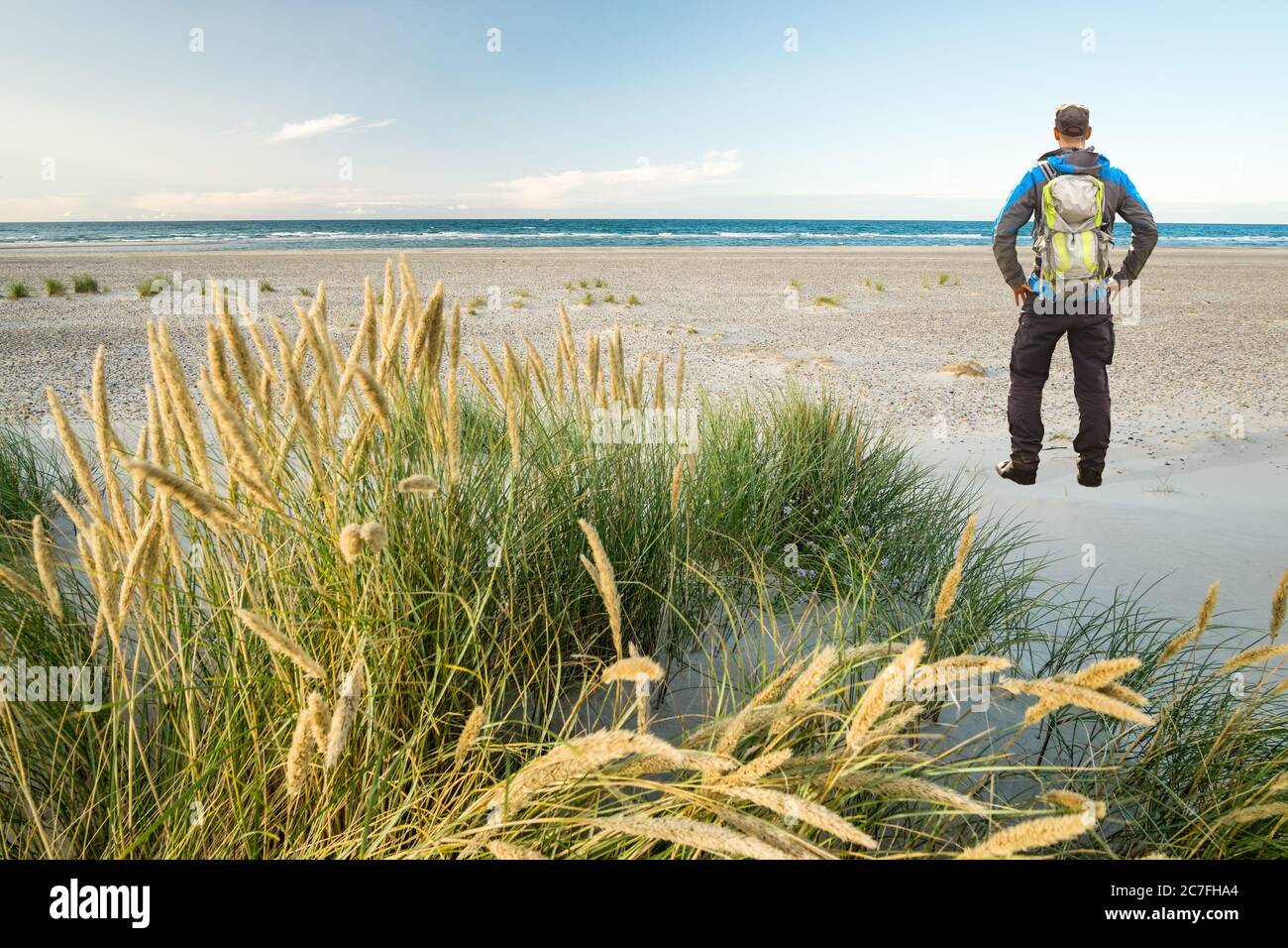 Man with Backpack hiking in beautiful windy coastal dune marram grass towards beach of North Sea in soft evening sunset sunlight. Skagen Nordstrand Stock Photo