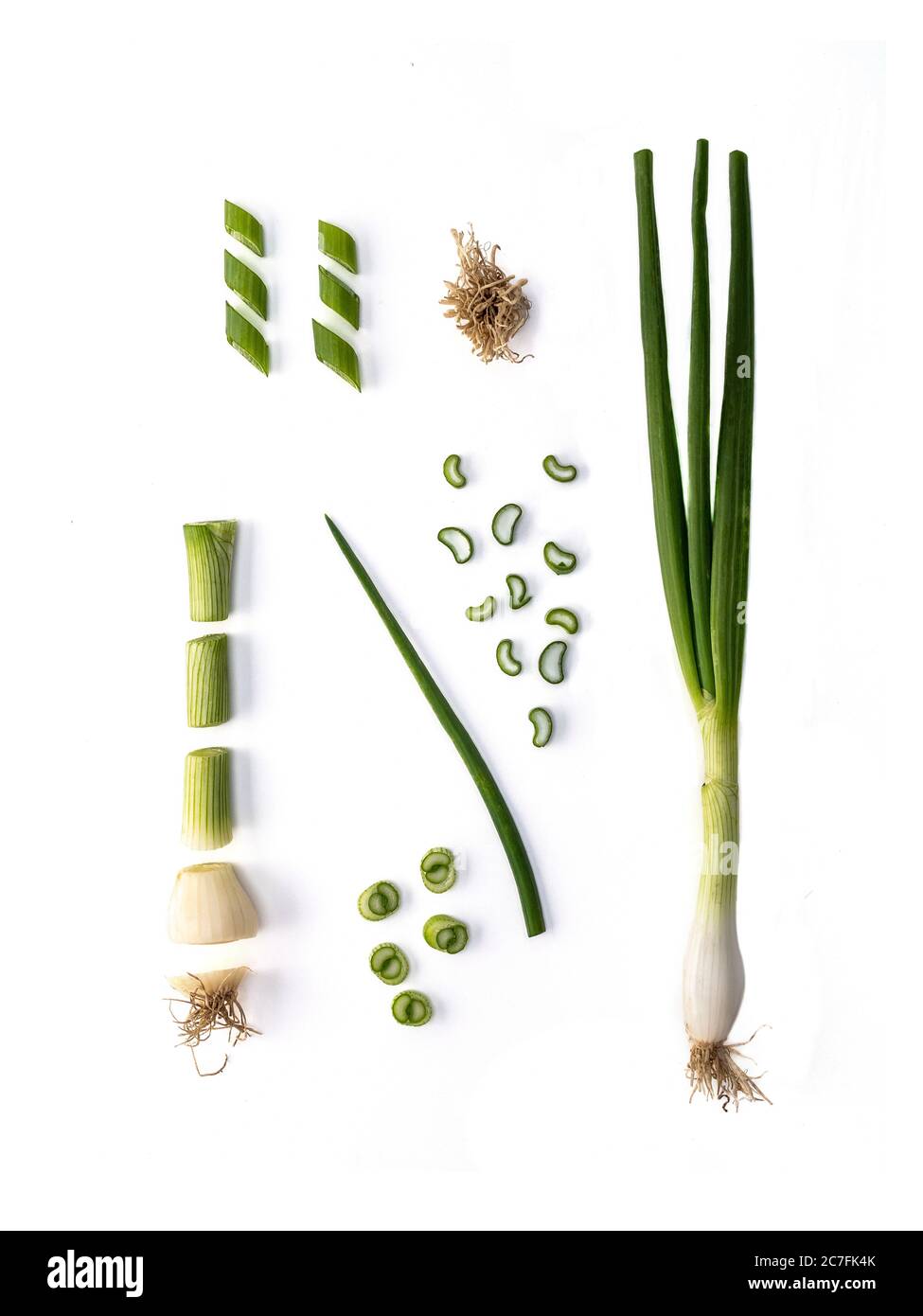 Welsh onion plant Cut Out Stock Images & Pictures - Alamy
