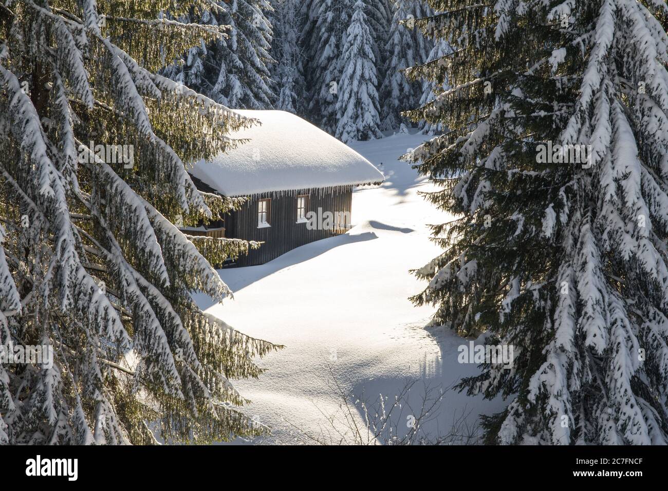Old wooden snowy ski cabin hidden behind Trees in the Alps near Hauchenberg Diepholz. Allgau, Bavaria, Germany. Stock Photo