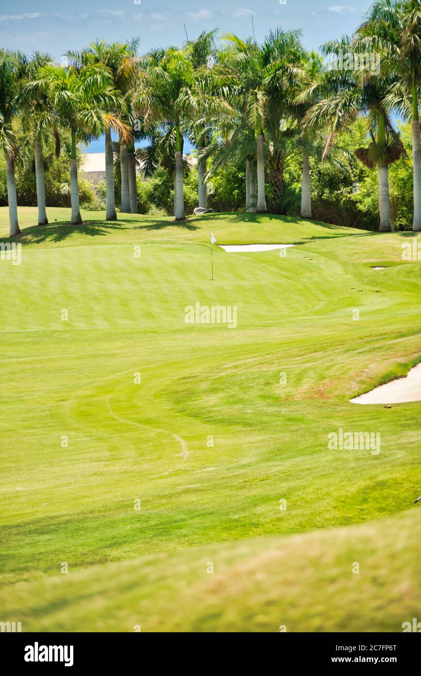 green golf course grass on holiday Stock Photo Alamy