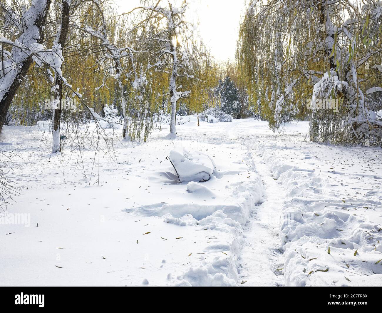 Park bench and trees covered by heavy snow. Lots of snow Stock Photo ...