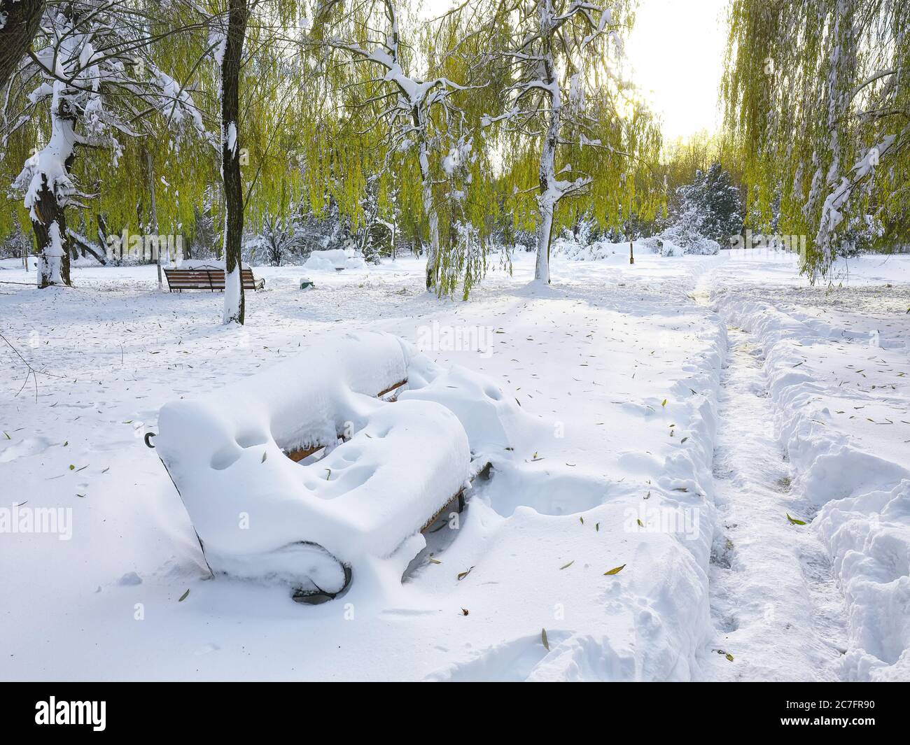 Park bench and trees covered by heavy snow. Lots of snow Stock Photo ...