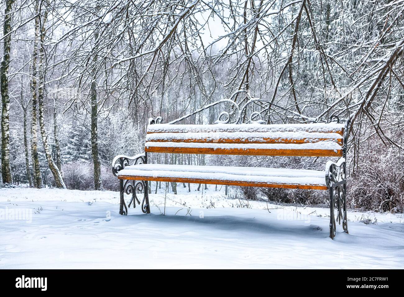 Park bench and trees covered by heavy snow. Lots of snow Stock Photo ...