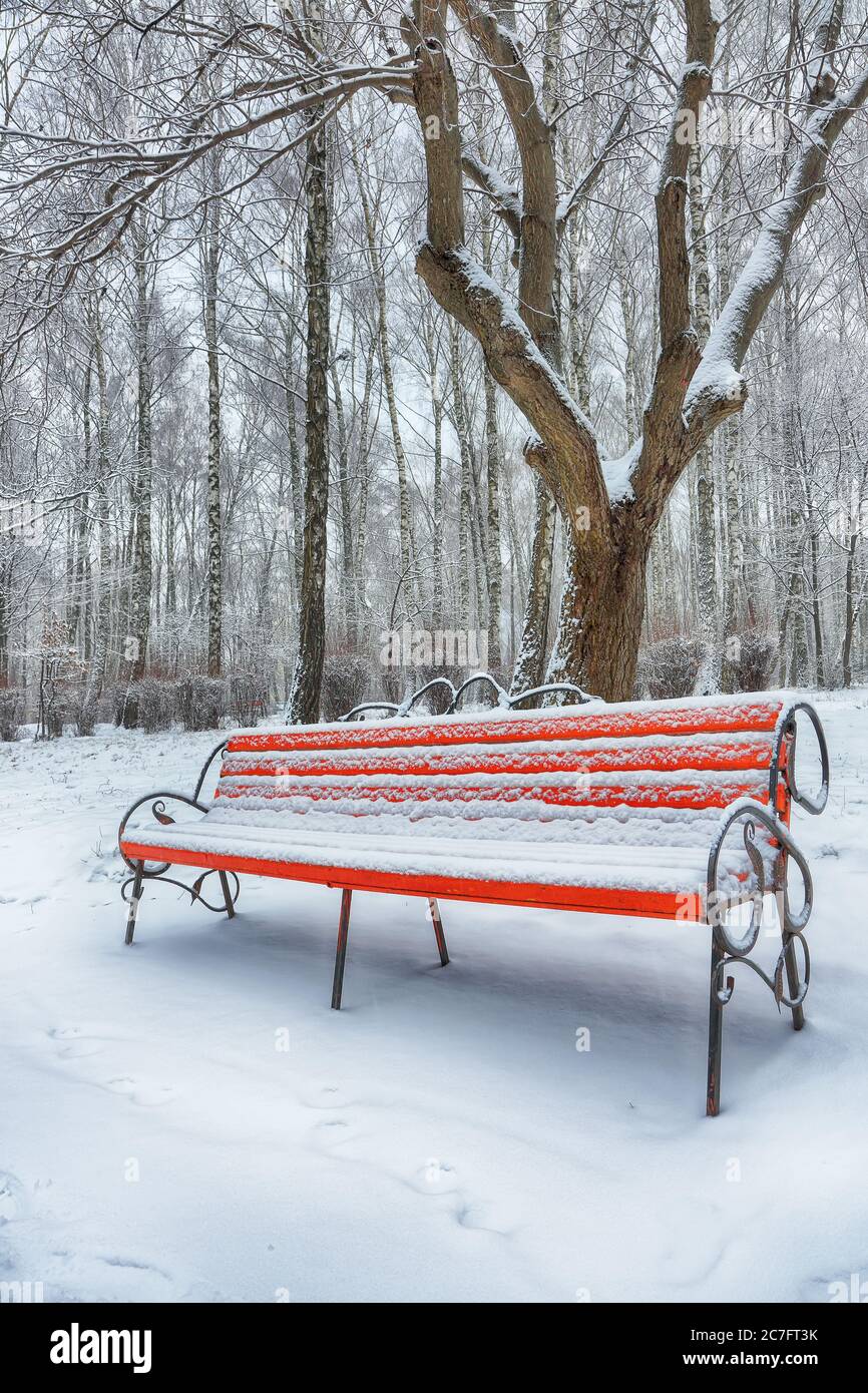 Park bench and trees covered by heavy snow. Lots of snow in city park ...