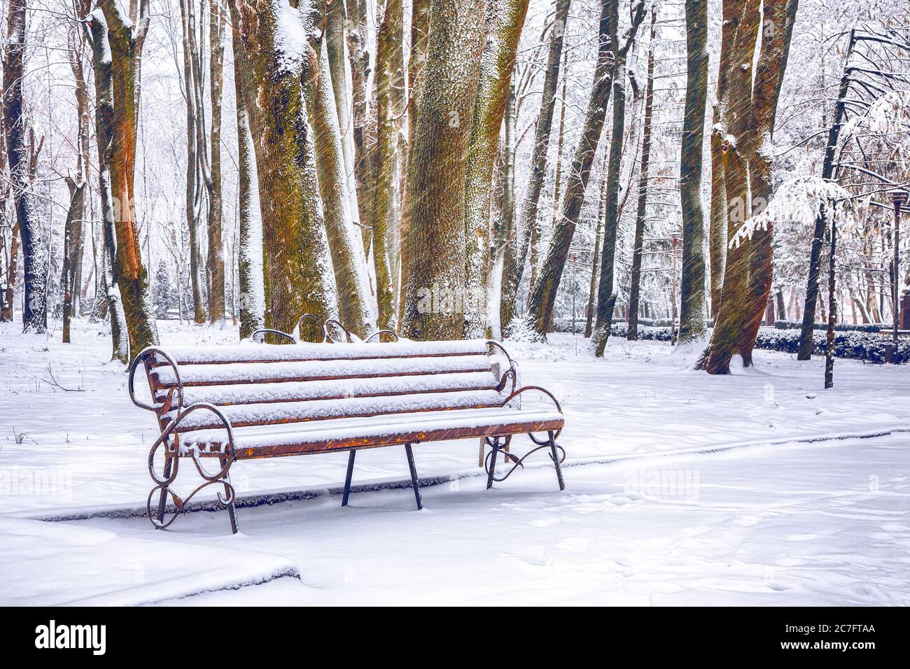 Park bench and trees covered by heavy snow. Lots of snow in city park ...