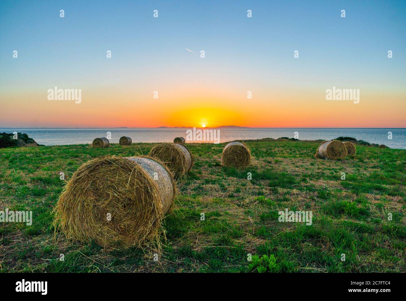 Hay bales at sunset on the Italian coast. These, thanks to the proximity of the sea, bring several mineral salts to the hay, excellent for milk produc Stock Photo