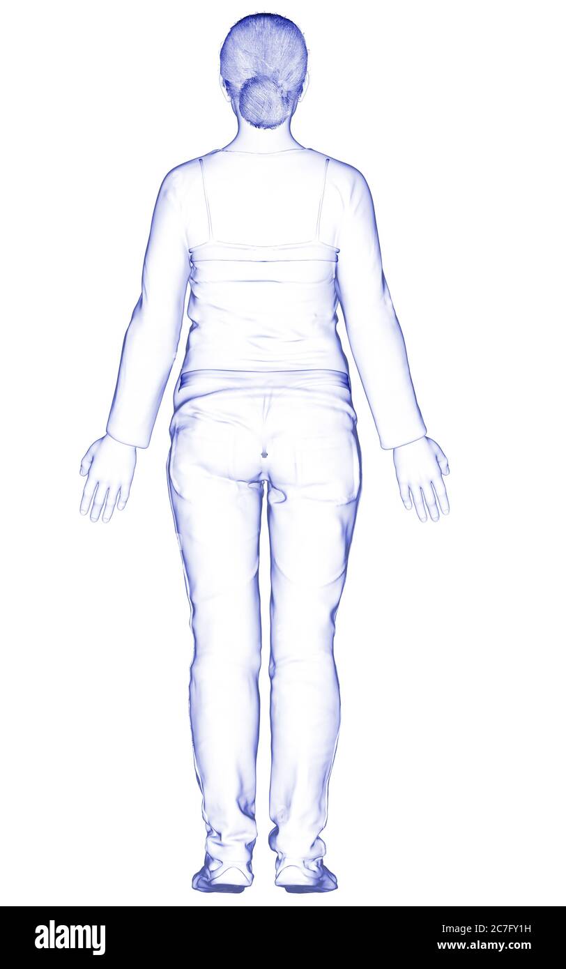 Woman Body Rendering 3d rendered illustration of the female body Cut Out Stock Images ...