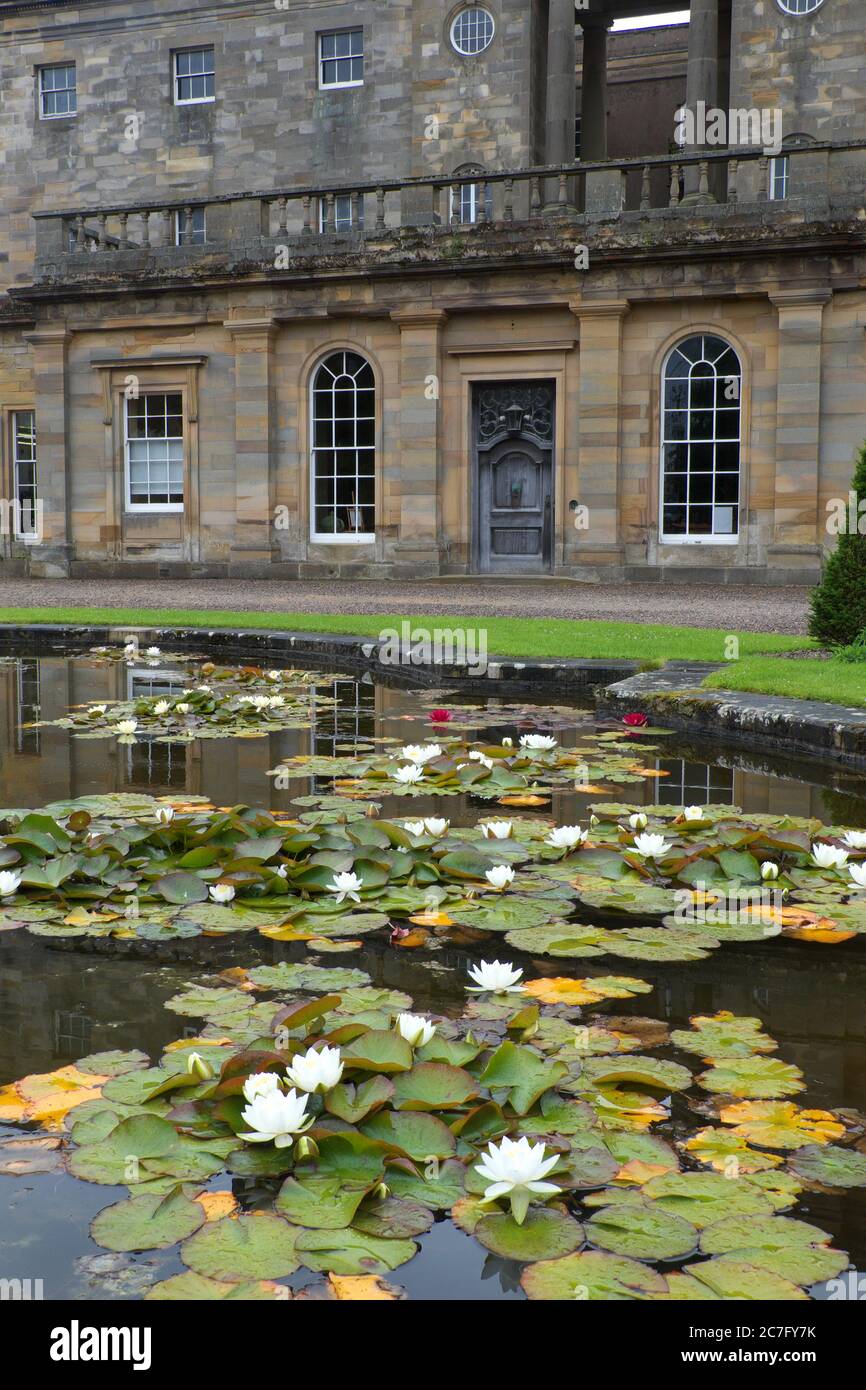 Lily pond at Howick Hall, Northumberland Stock Photo