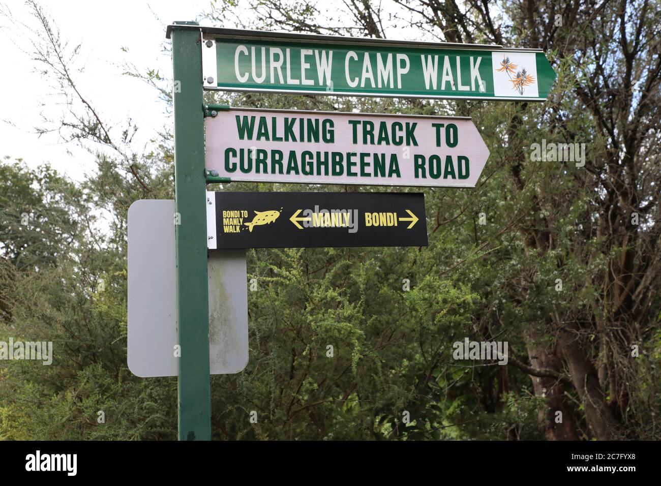 Curlew Camp Walk, walking track to Curraghbeena Road, Manly to Bondi Walk, Mosman, Sydney, NSW, Australia. Stock Photo