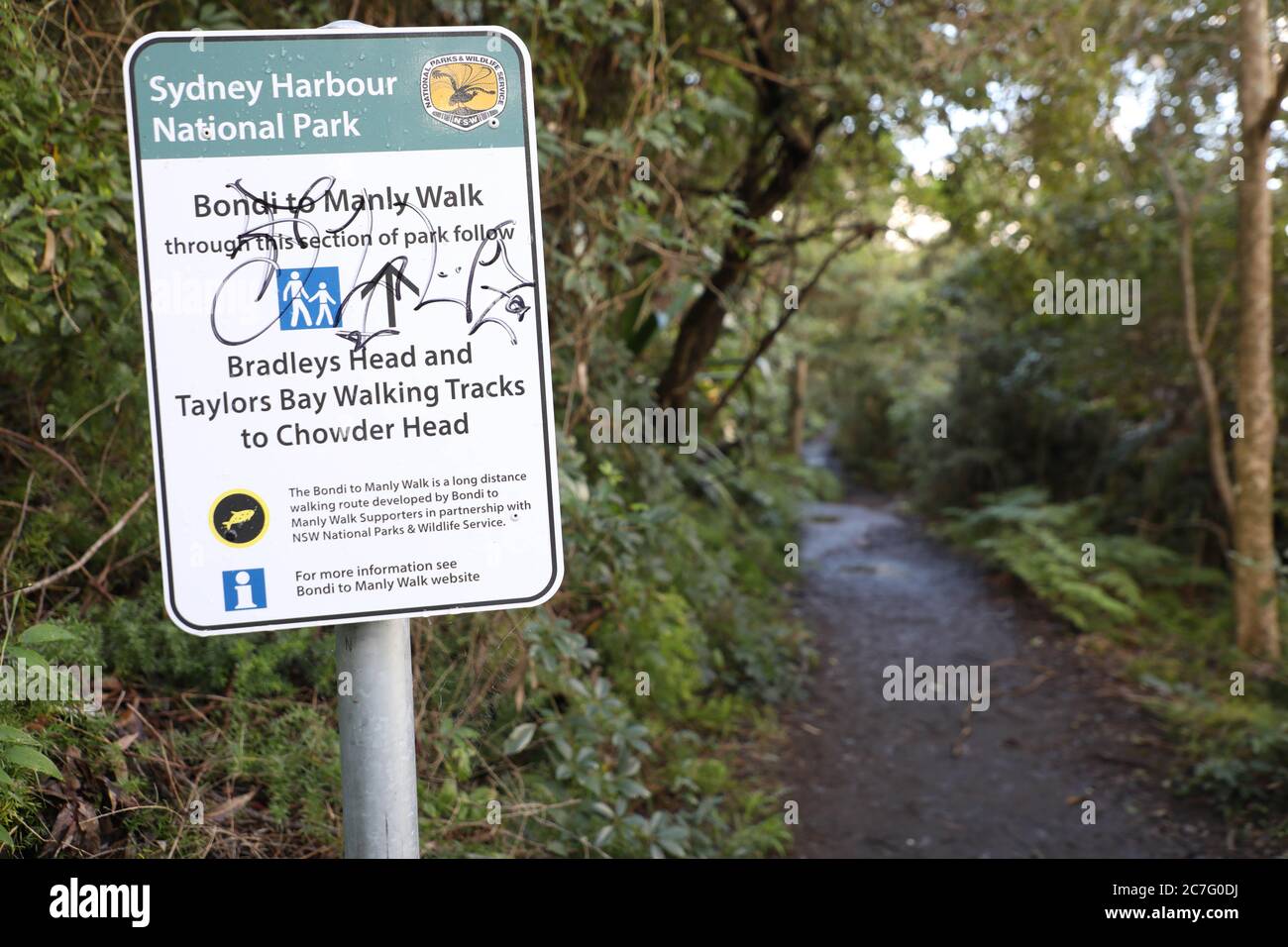 Sydney Harbour National Park, Bondi to Manly Walk, Bradleys Head and