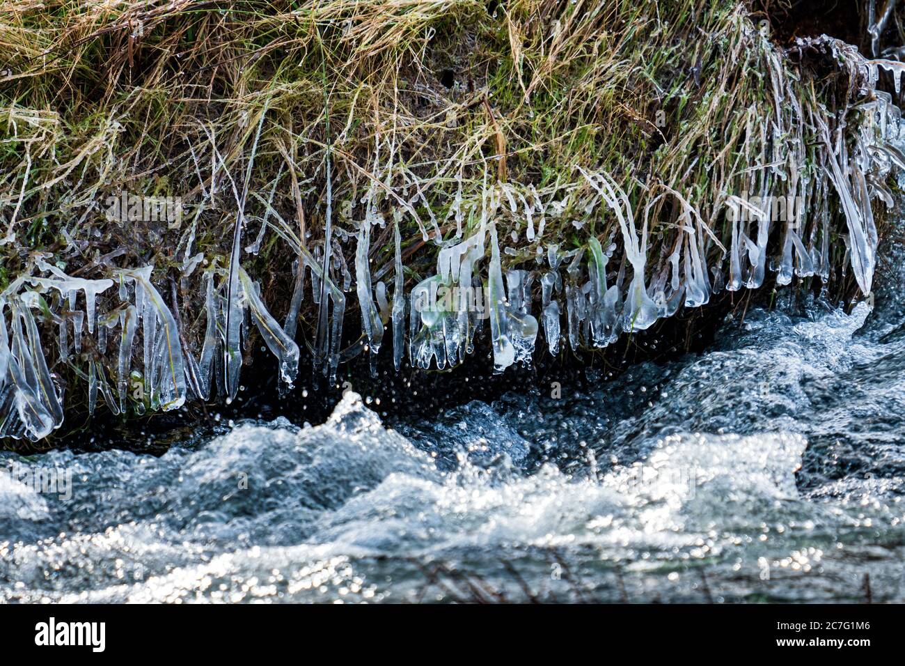 Closeup view of frozen grass near the river stream Stock Photo
