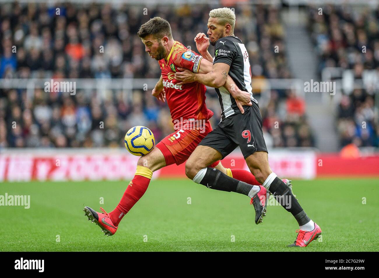 1st February 2020, St. James's Park, Newcastle, England; Premier League, Newcastle United v Norwich City : Grant Hanley (5) of Norwich City under pressure from Joelinton (9) of Newcastle United Stock Photo