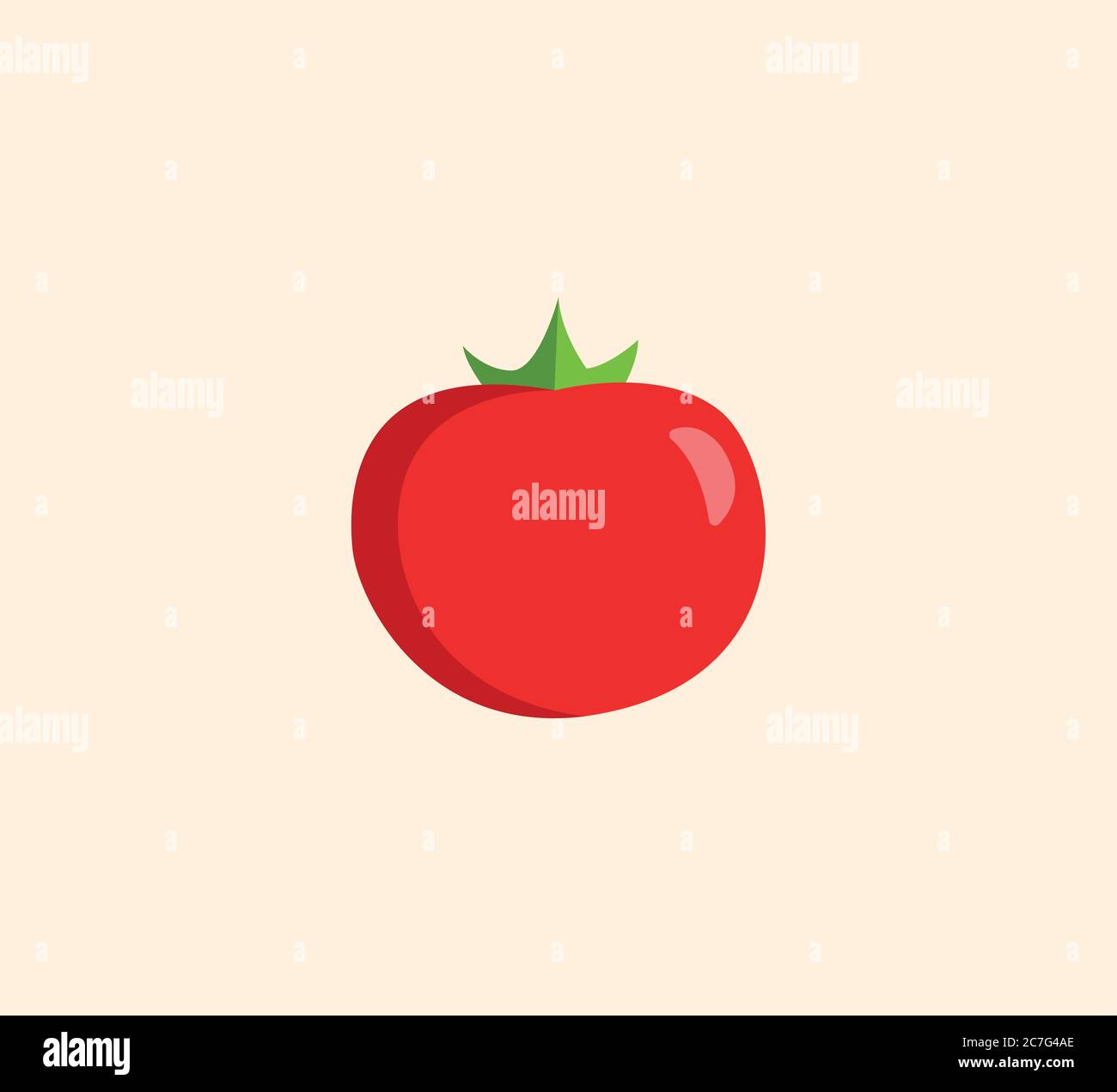 Tomato vector isolated illustration. Tomato vector Stock Vector