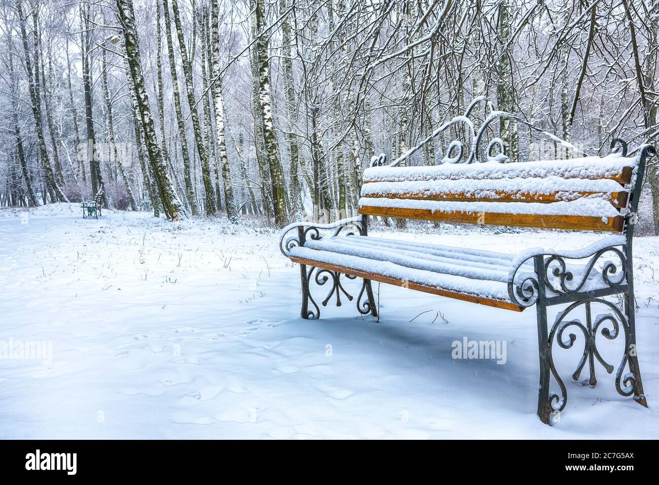 Park bench and trees covered by heavy snow. Lots of snow Stock Photo ...