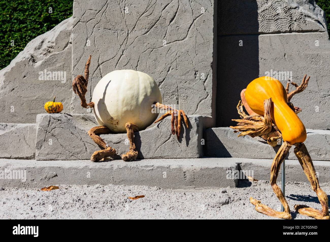 Funny scene of two pumpkin figures arguing with each other - Halloween concept Stock Photo