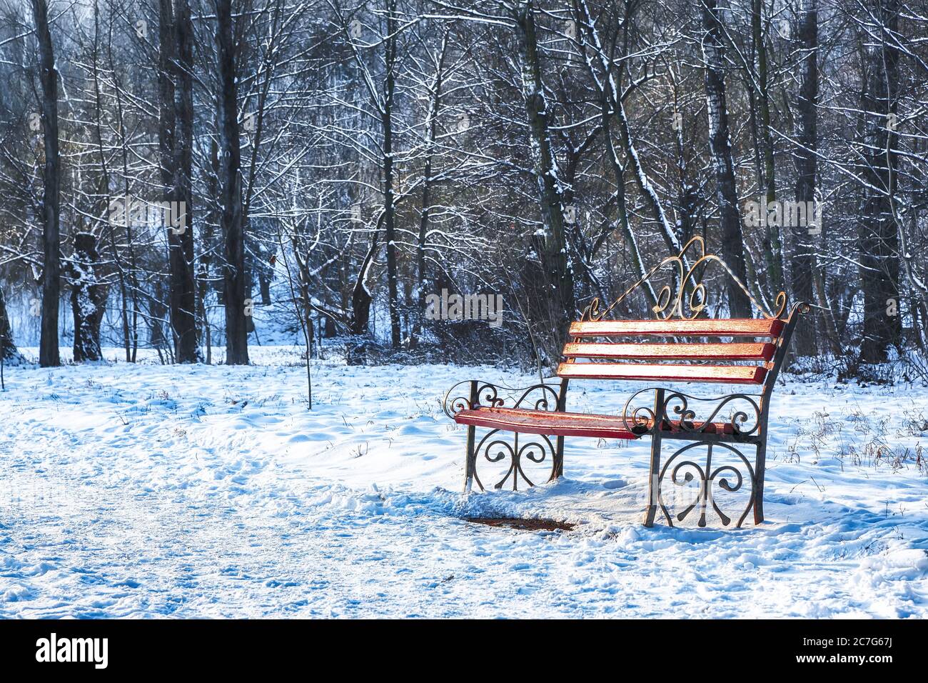 Park bench and trees covered by heavy snow. Lots of snow Stock Photo ...