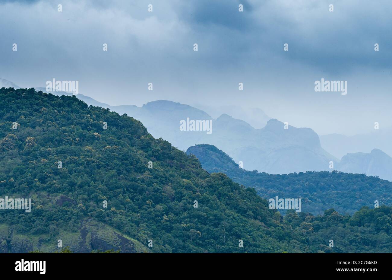High angle shot of the forest of Western Ghats, Kanyakumari district, India covered with fog Stock Photo