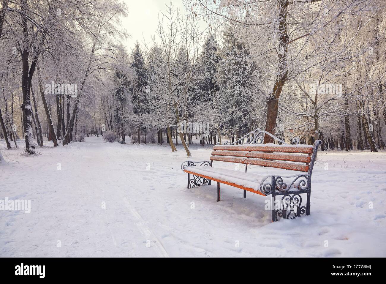 Park bench and trees covered by heavy snow. Lots of snow Stock Photo ...