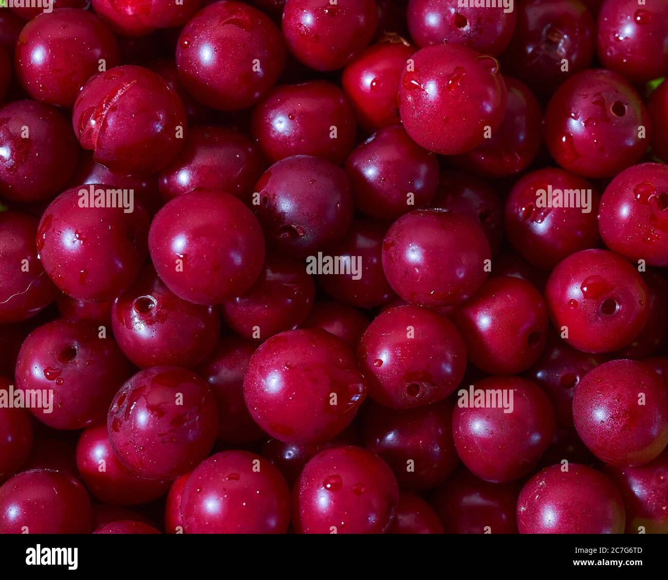 Juicy ripe red cherry. Close-up.Advertising photo. Many objects Stock Photo