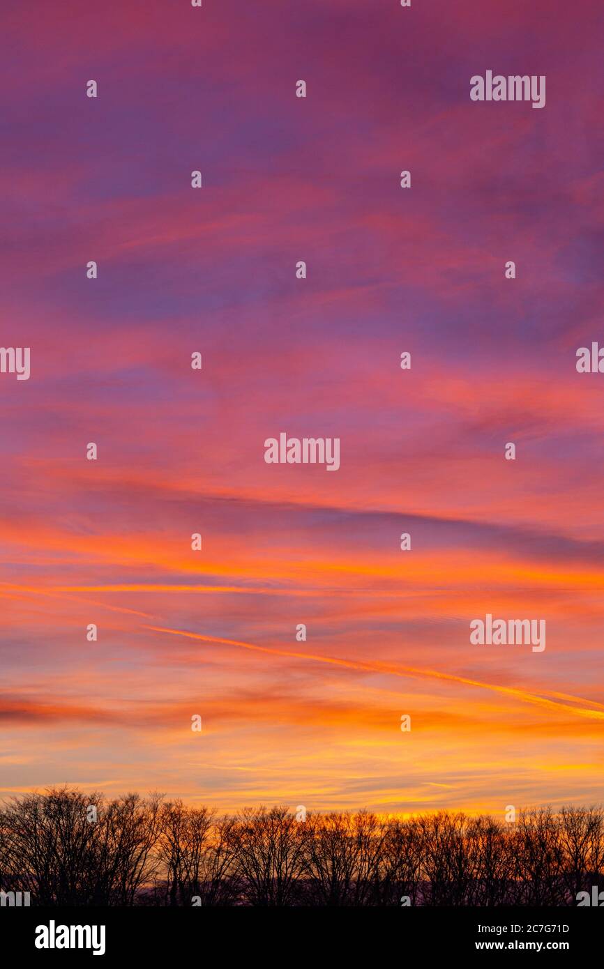 Landscape of tree silhouettes under a cloudy sky during a beautiful ...