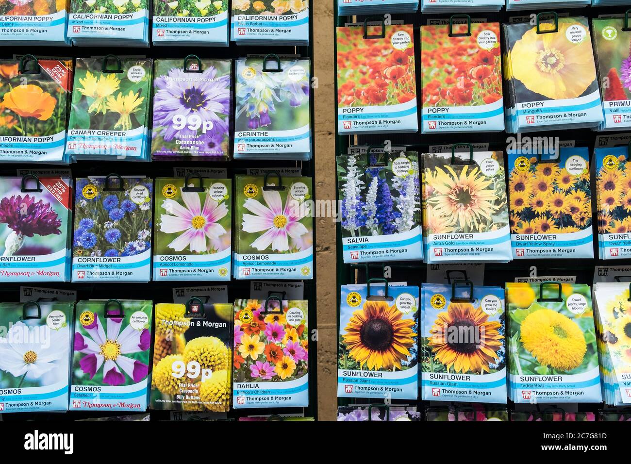 Colourful packets of flower seeds on display Stock Photo Alamy