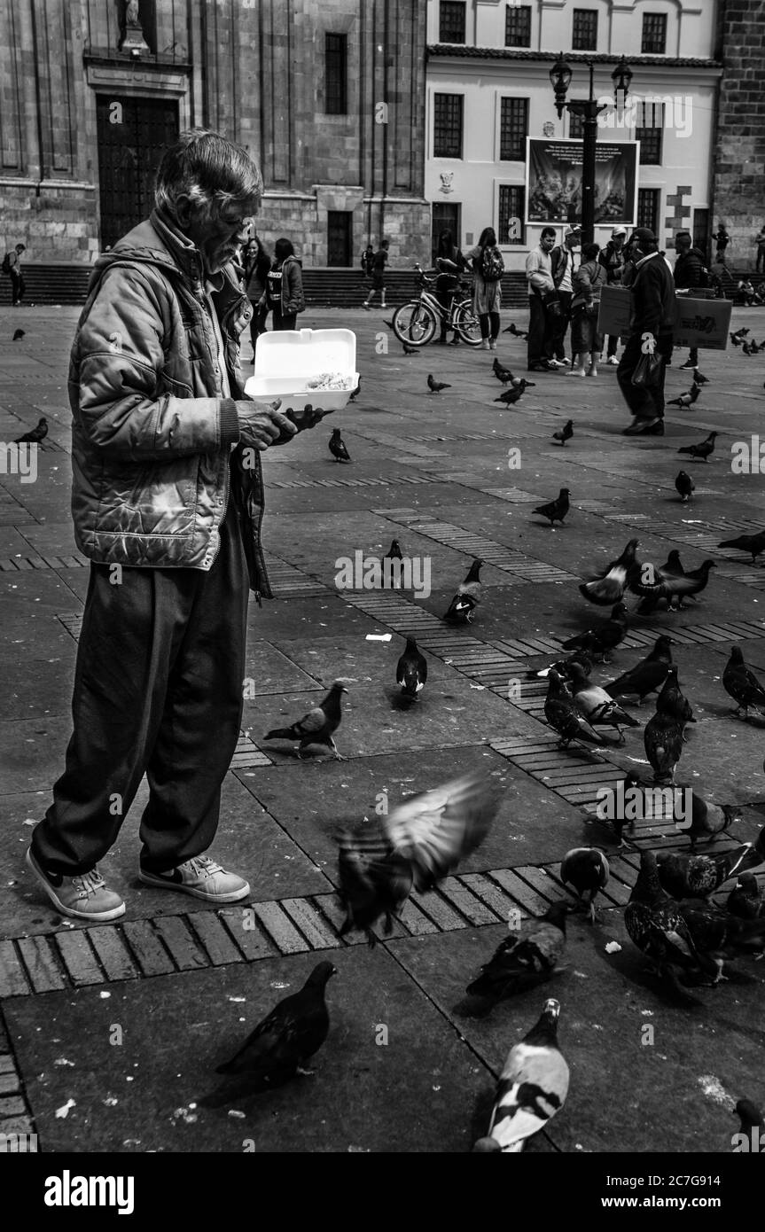 BOGOT��, COLOMBIA - Apr 24, 2017: Man feeds pigeons at Plaza de Bolivar in Bogot��, Colombia. Stock Photo