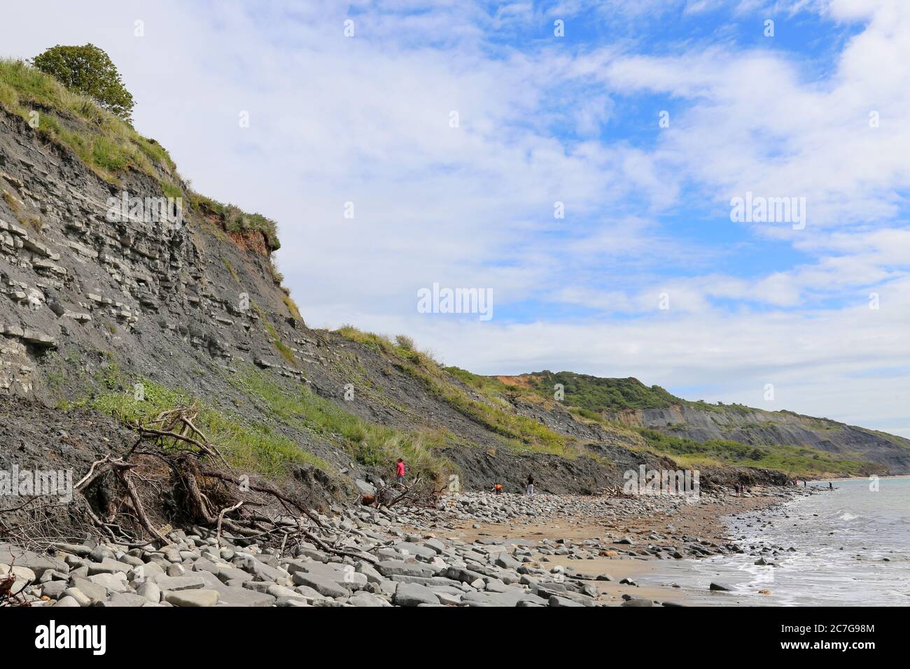 Fossil hunting at low tide between Lyme Regis and Charmouth, Dorset