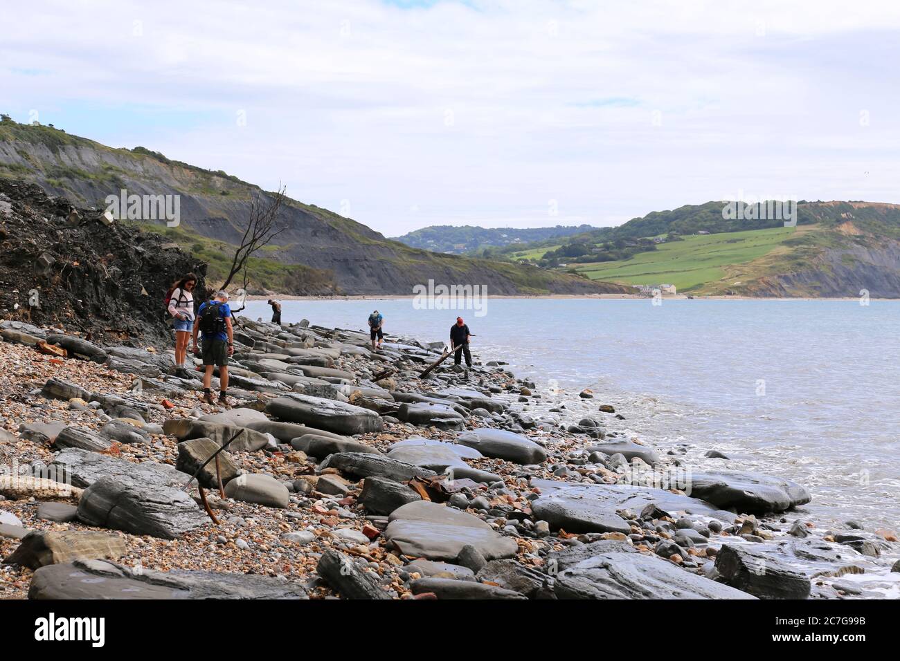 Fossil hunting at low tide between Lyme Regis and Charmouth, Dorset