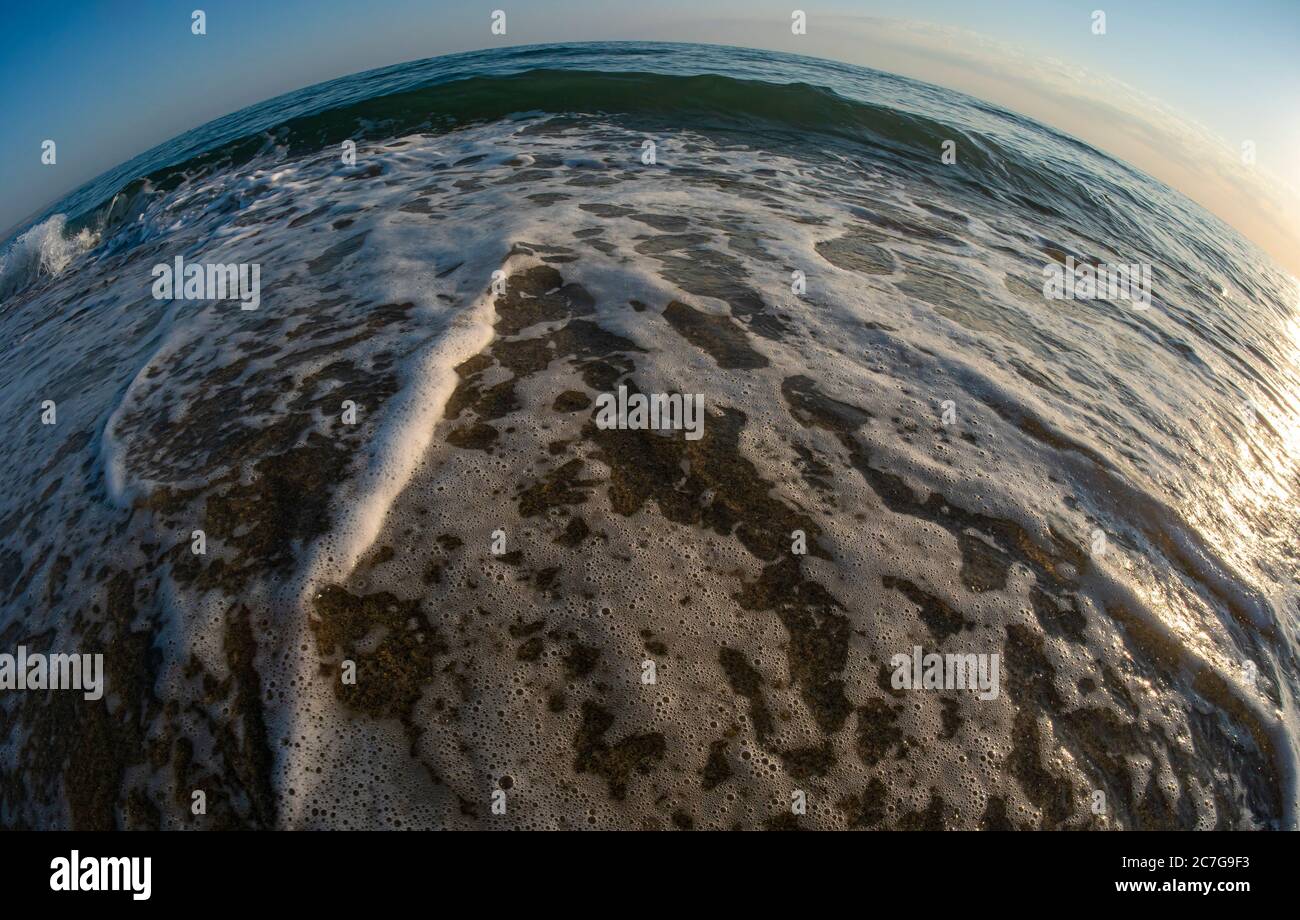 wave beach fish eye close up macro Stock Photo - Alamy